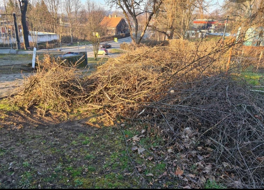 Kupa gałęzi i pni drzewnych leżąca na ziemi z widocznymi śladami opon, w tle zabudowa miejska i drzewa bez liści w słoneczny dzień.