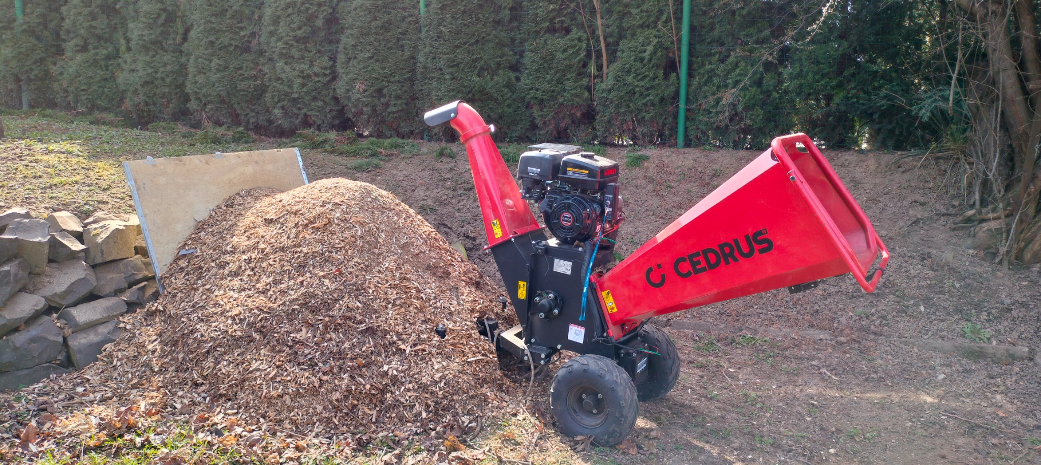 Czerwony rębaku do gałęzi marki Cedrus stojący obok pryzmy zrębków na tle żywopłotu.