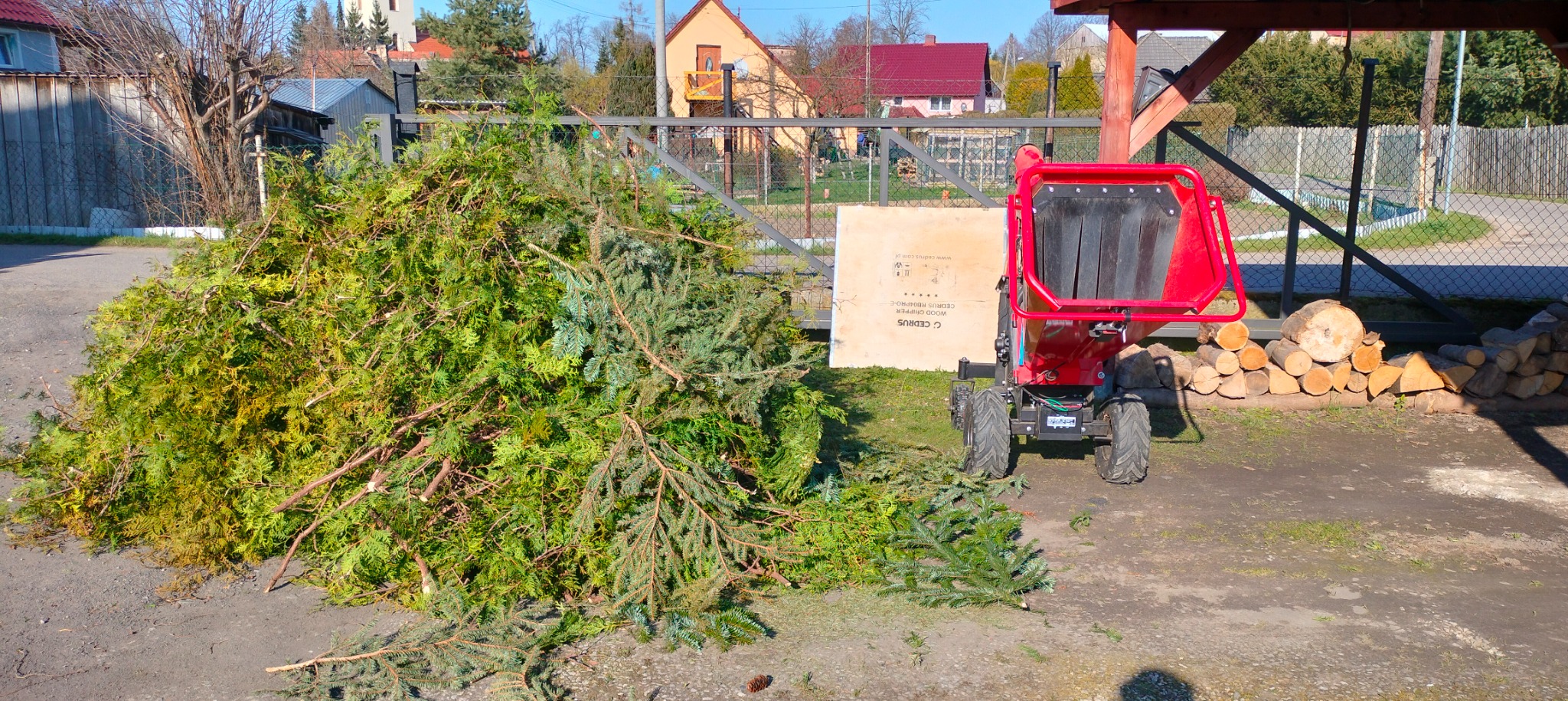Kupa ściętych gałęzi iglastych leżąca obok czerwonego rębaka do drewna, w tle ogrodzenie i zabudowania.