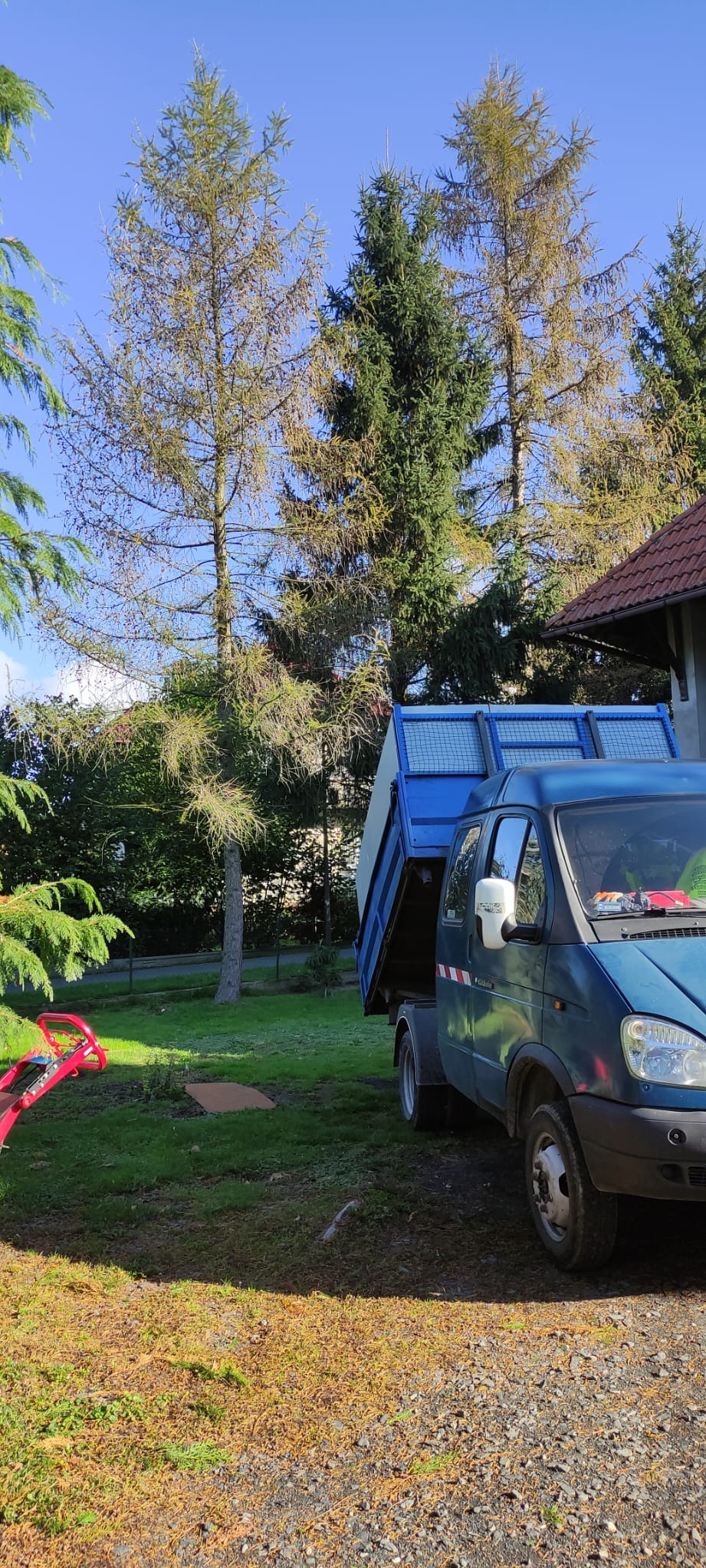 Niebieski samochód ciężarowy z otwartą skrzynią ładunkową stoi na trawniku przed domem z drzewami w tle, prawdopodobnie po wycince gałęzi.