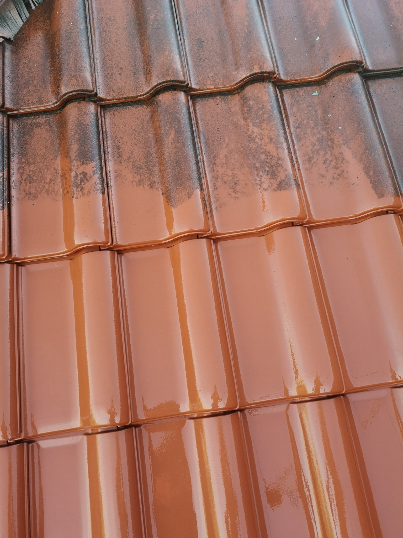 Częściowo wyczyszczony dach z brązowej dachówki ceramicznej, ukazujący różnicę między brudną, ciemniejszą powierzchnią a czystą, błyszczącą, mokrą powierzchnią po czyszczeniu.