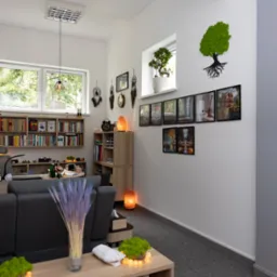 Przytulne wnętrze gabinetu hipnoterapii z dekoracjami: drzewko z mchu, łapacze snów, lampy solne i obrazy na ścianie. W tle regał z książkami.