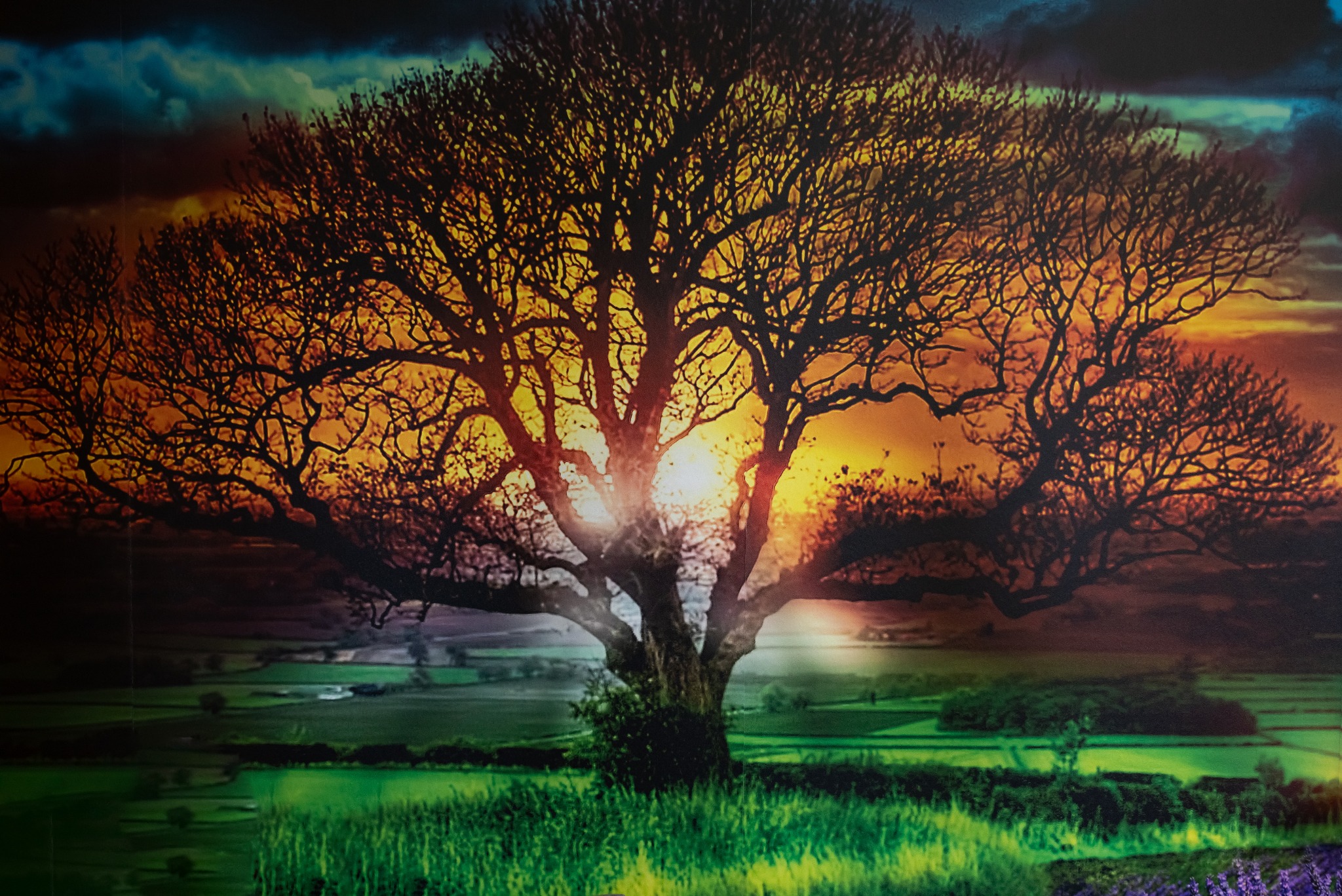 Ilustracja drzewa na tle zachodzącego słońca, z widocznymi polami i łąkami. Ciepłe barwy tworzą spokojną i kojącą atmosferę.