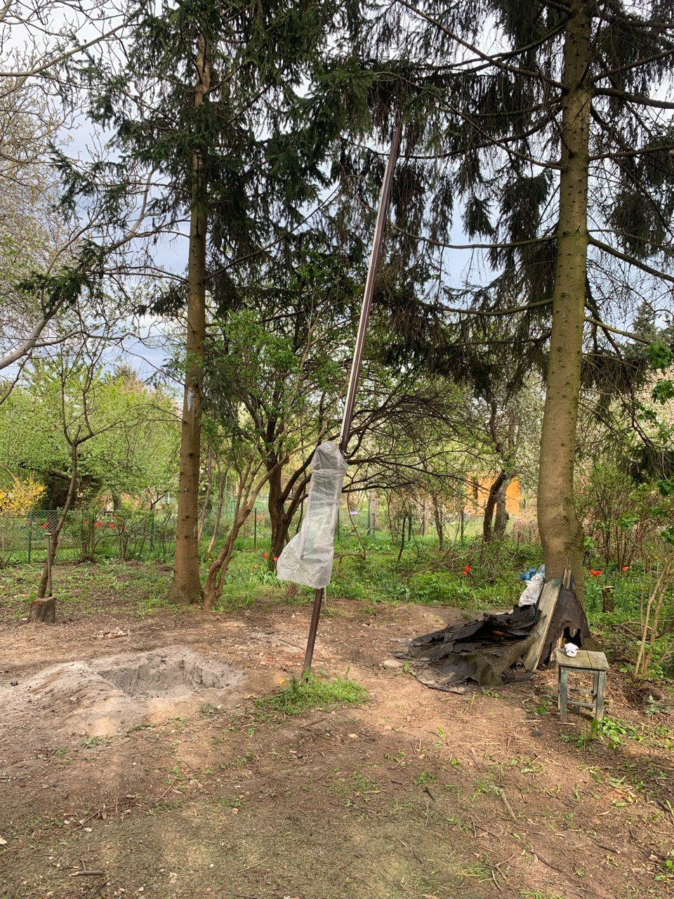 Przygotowane miejsce do sadzenia drzewa: wykopany dół w ziemi, obok metalowy słupek zabezpieczony folią, drzewa w tle.