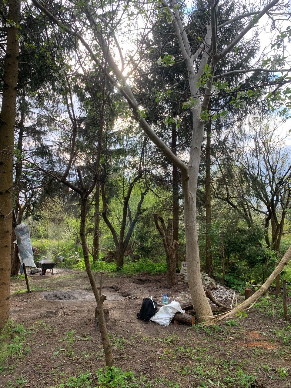 Teren w lesie przygotowany pod nasadzenia: wykopany dół, narzędzia ogrodnicze, worki z ziemią i pocięte drewno.