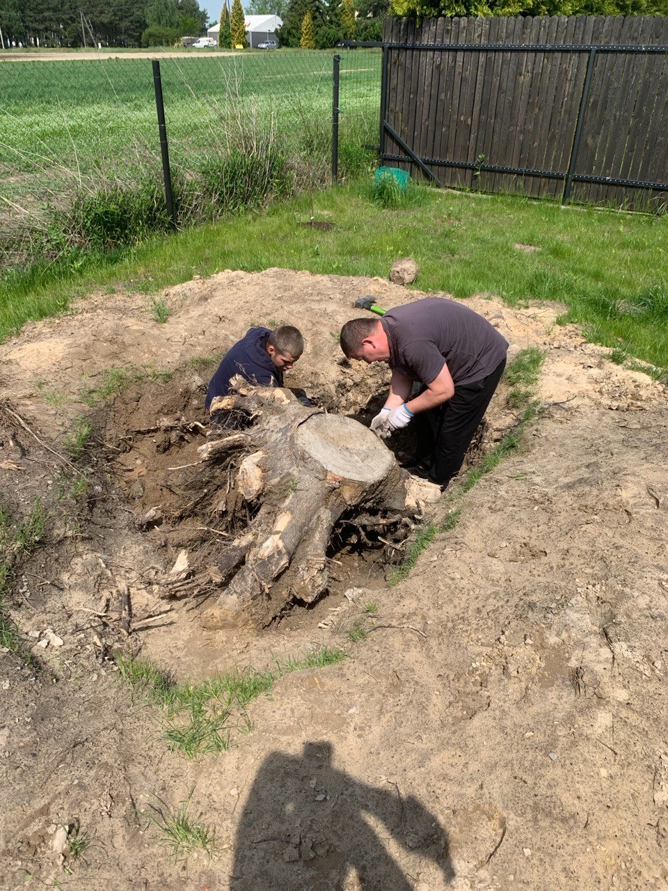 Dwóch mężczyzn usuwa pień drzewa z ziemi, widoczne korzenie i narzędzia, ogrodzenie w tle.