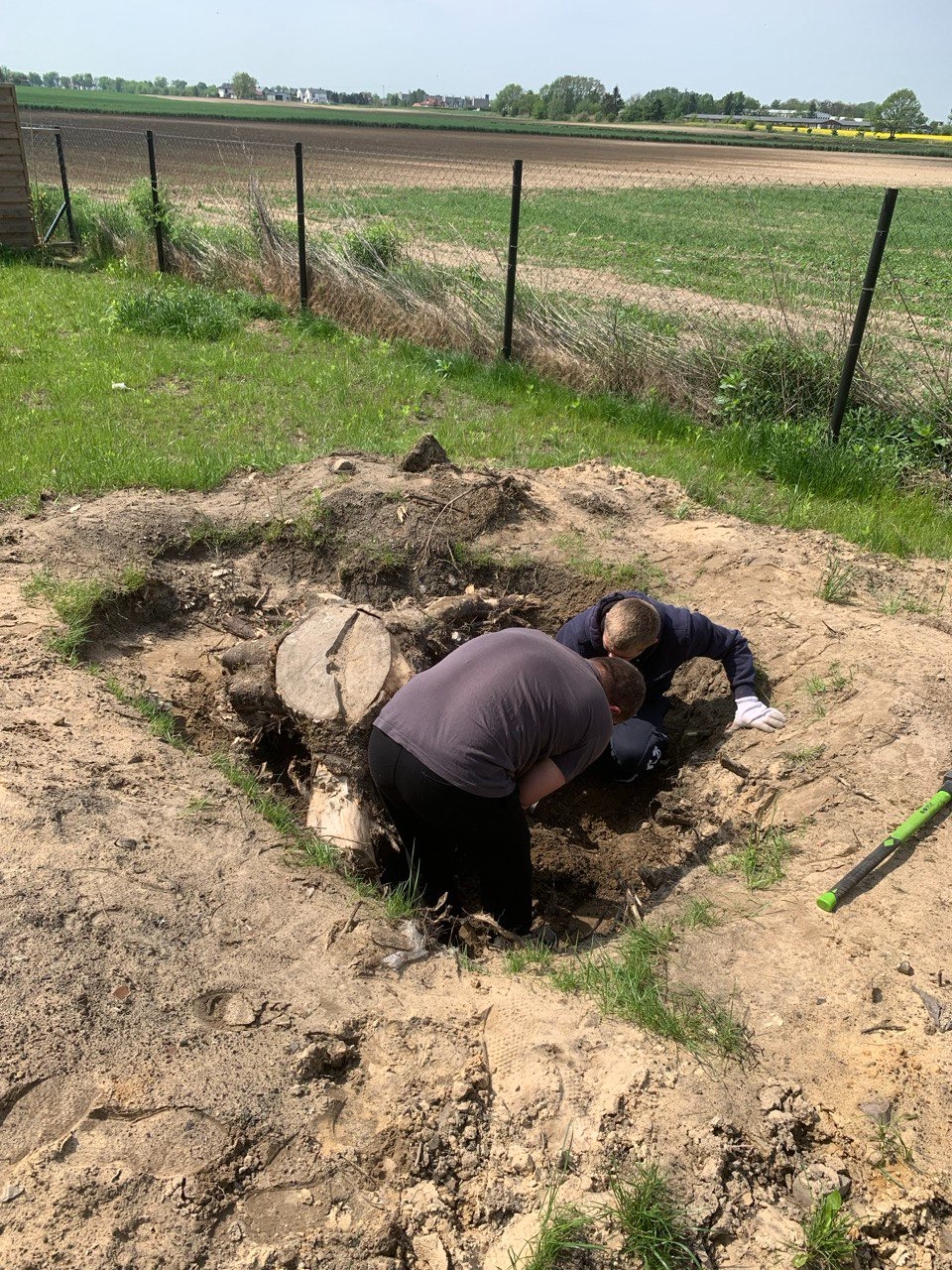 Dwóch mężczyzn usuwa karpę drzewa w wykopie na polu, widoczne korzenie i narzędzie z zieloną rączką.