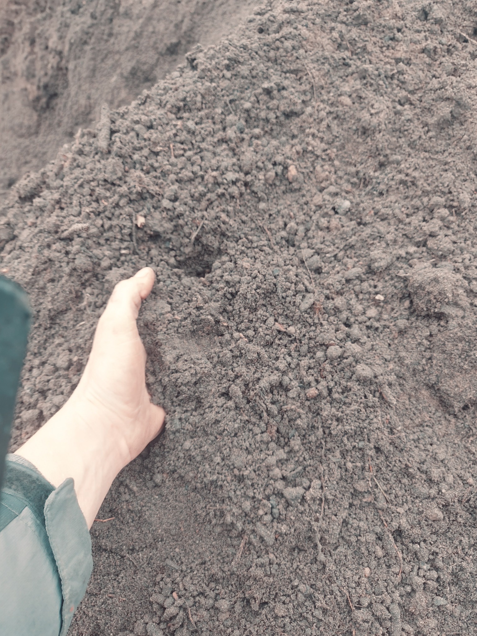 Dłoń dotyka pryzmy ciemnej ziemi z widocznymi drobnymi kamieniami i korzonkami.