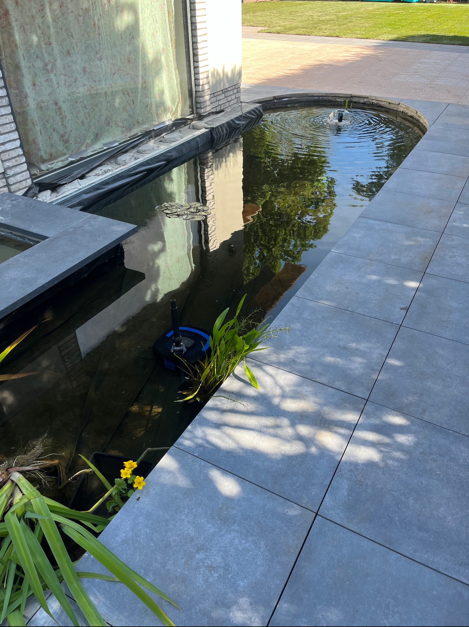 Oczko wodne z fontanną otoczone szarą kostką brukową, z roślinami wodnymi i odbiciem drzew w wodzie. Widoczny fragment budynku z oknem.