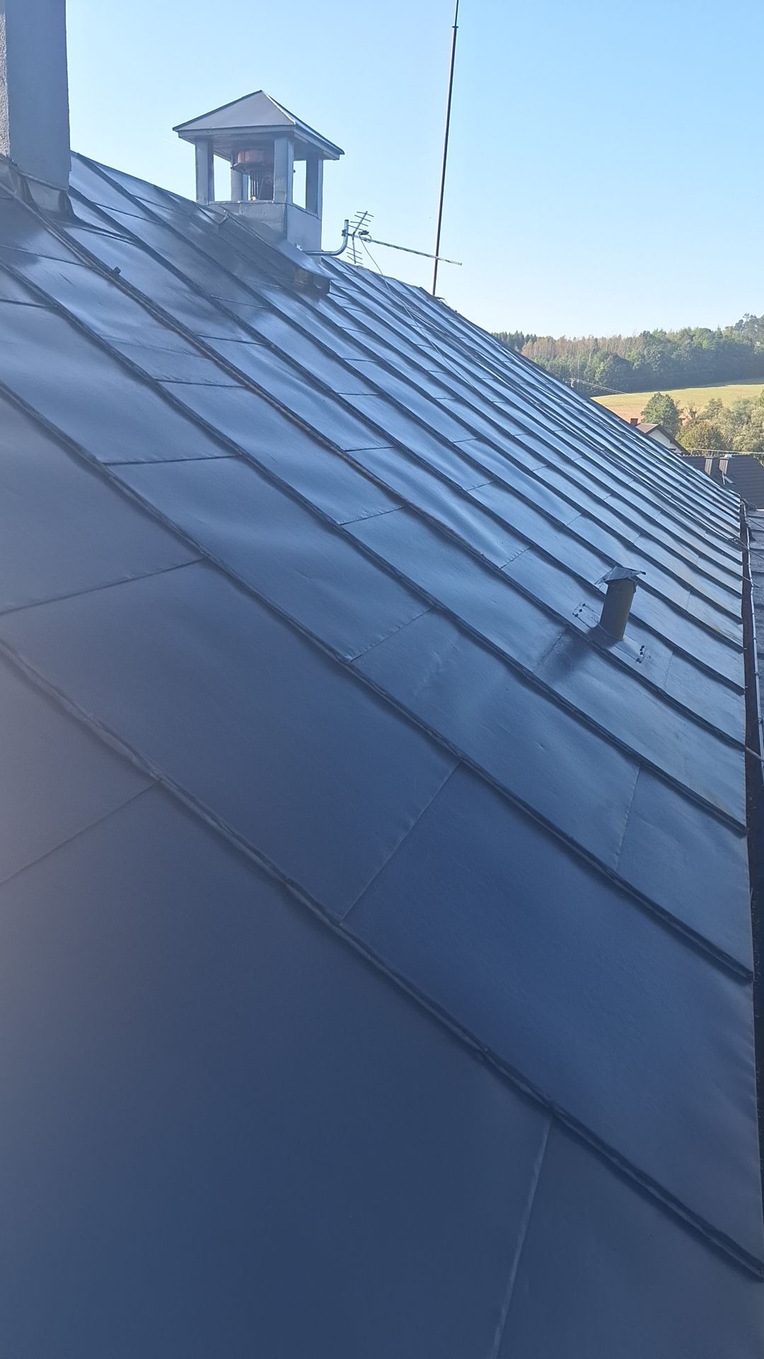 Błyszczący, ciemny dach z blachy trapezowej, widoczny komin z daszkiem, antena i wentylacja, w tle drzewa i niebieskie niebo.