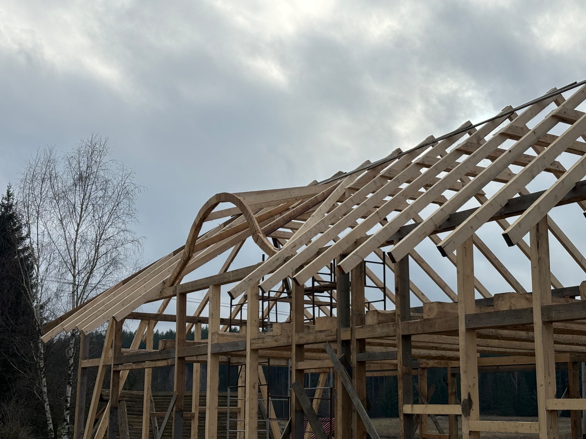 Surowa drewniana konstrukcja domu w trakcie budowy, z widoczną więźbą dachową i elementami ścian, na tle pochmurnego nieba i drzew bez liści.