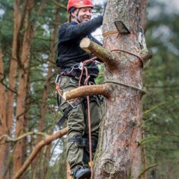 Tomasz Majchrzak - Budowa Dachu Warszawa