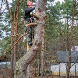 Malowanie mieszkań Warszawa 3