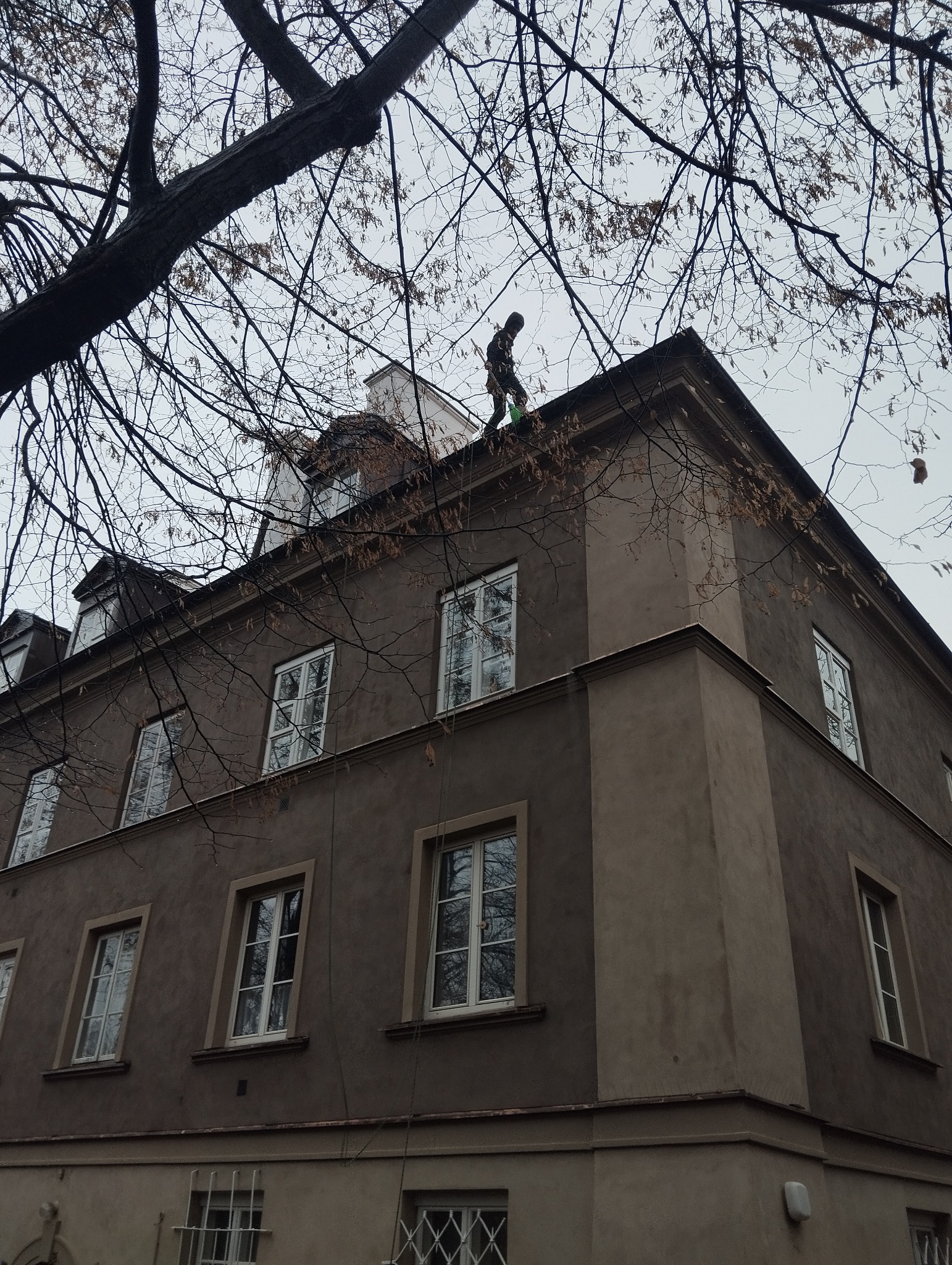 Pracownik w zielonych spodniach i ciemnej kurtce zabezpieczony liną na dachu kamienicy podczas prac wysokościowych, widok z dołu przez gałęzie drzew.