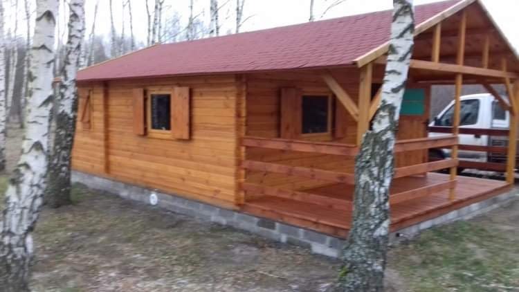 Drewniany domek letniskowy z czerwonym dachem i małym gankiem, otoczony brzozami na działce.