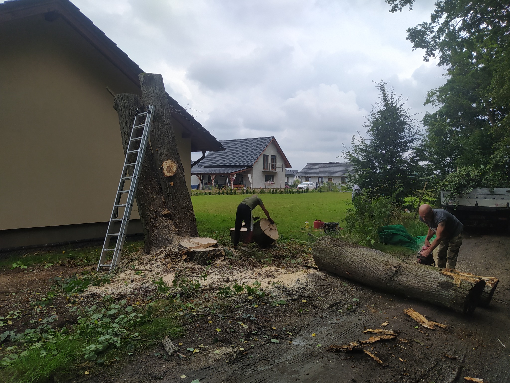 Dwaj mężczyźni tną drzewo przy budynku. Jeden z nich używa piły łańcuchowej, drugi przenosi kawałek pnia. W tle widoczny dom i drabina oparta o pień drzewa.