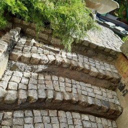 Wycinka drzew Poznań 1