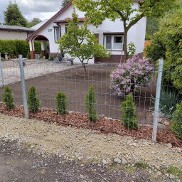 Paweł Machoniak - Świeżo założony ogród z młodymi tujami wzdłuż metalowego ogrodzenia, kora rozsypana pod tujami, przygotowany teren pod trawnik, dom z numerem 207 w tle.