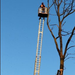 Paweł - Malowanie dach&oacute;w Poznań