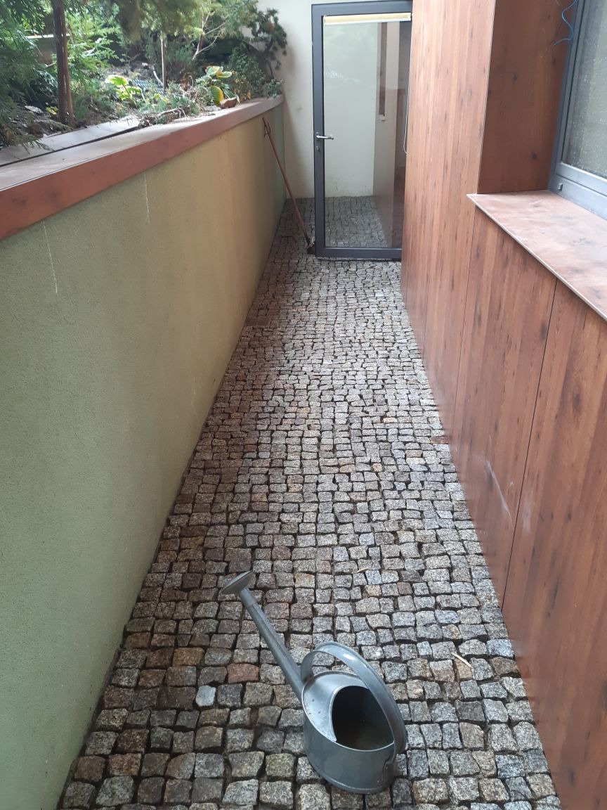 Ułożona kostka brukowa tworzy ścieżkę wzdłuż ściany z zielenią i drewnianego panelu. Metalowa konewka leży na bruku. Widoczne drzwi z czarną ramą.