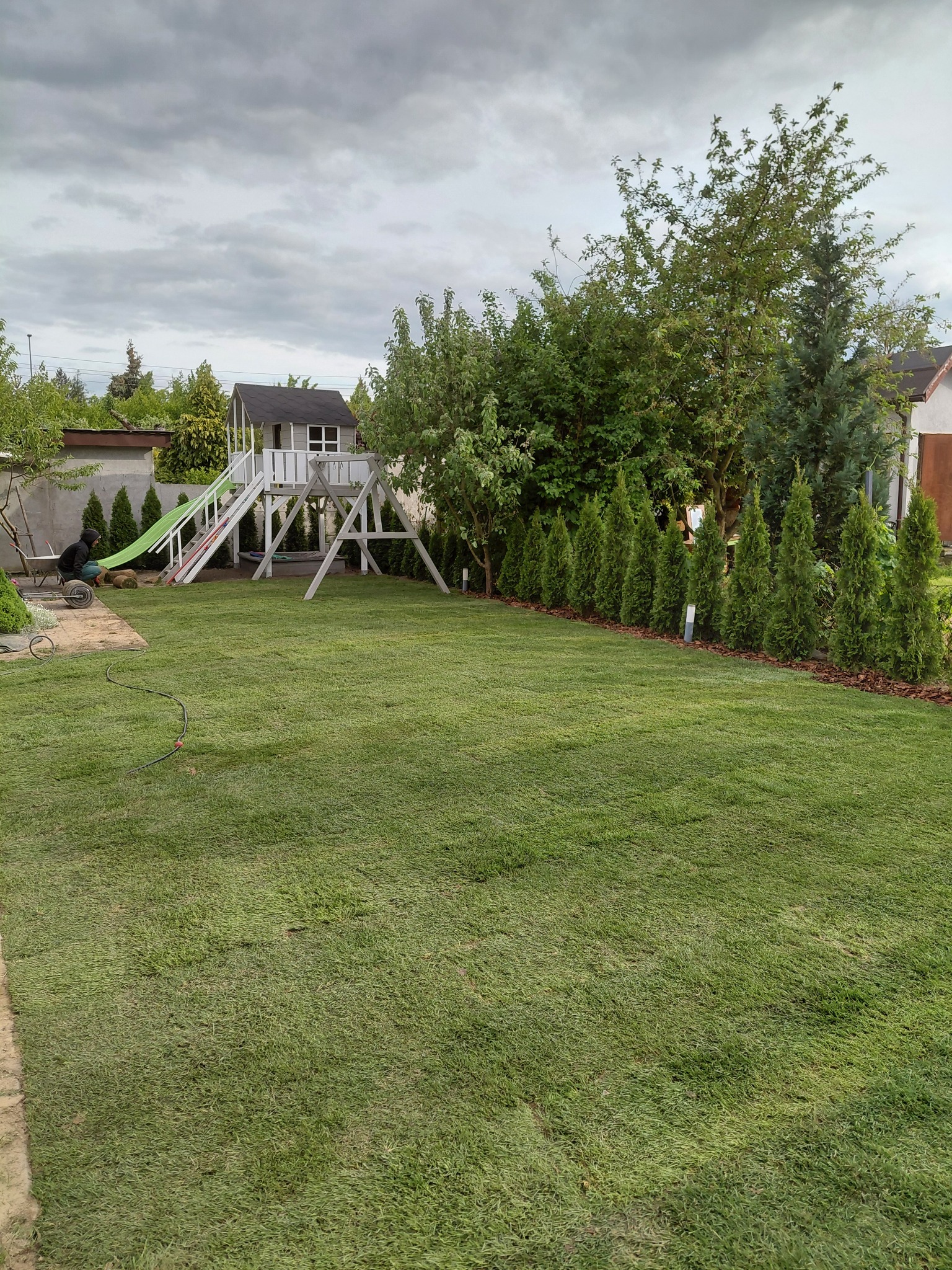 Rozległy trawnik z rolki w ogrodzie z placem zabaw i tujami. Widoczny fragment układania trawy, osoba z taczką i rolki trawy. Pochmurne niebo.