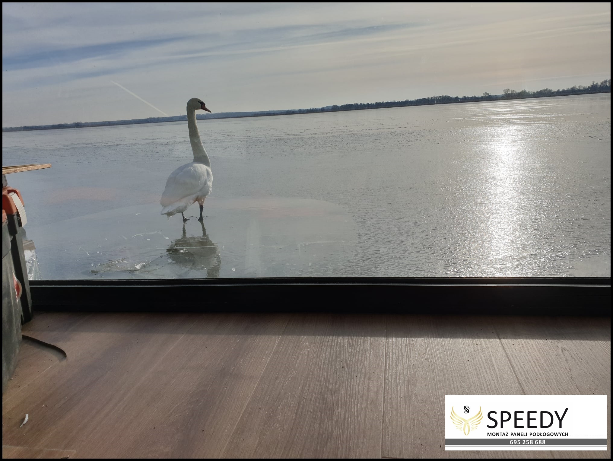 Widok z okna na zamarznięte jezioro z łabędziem stojącym na lodzie, w dolnej części widoczne panele podłogowe i logo firmy montującej panele.