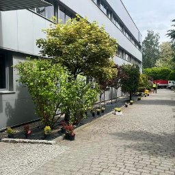 Pielęgnacja zieleni oraz wysady drzew i krzewów