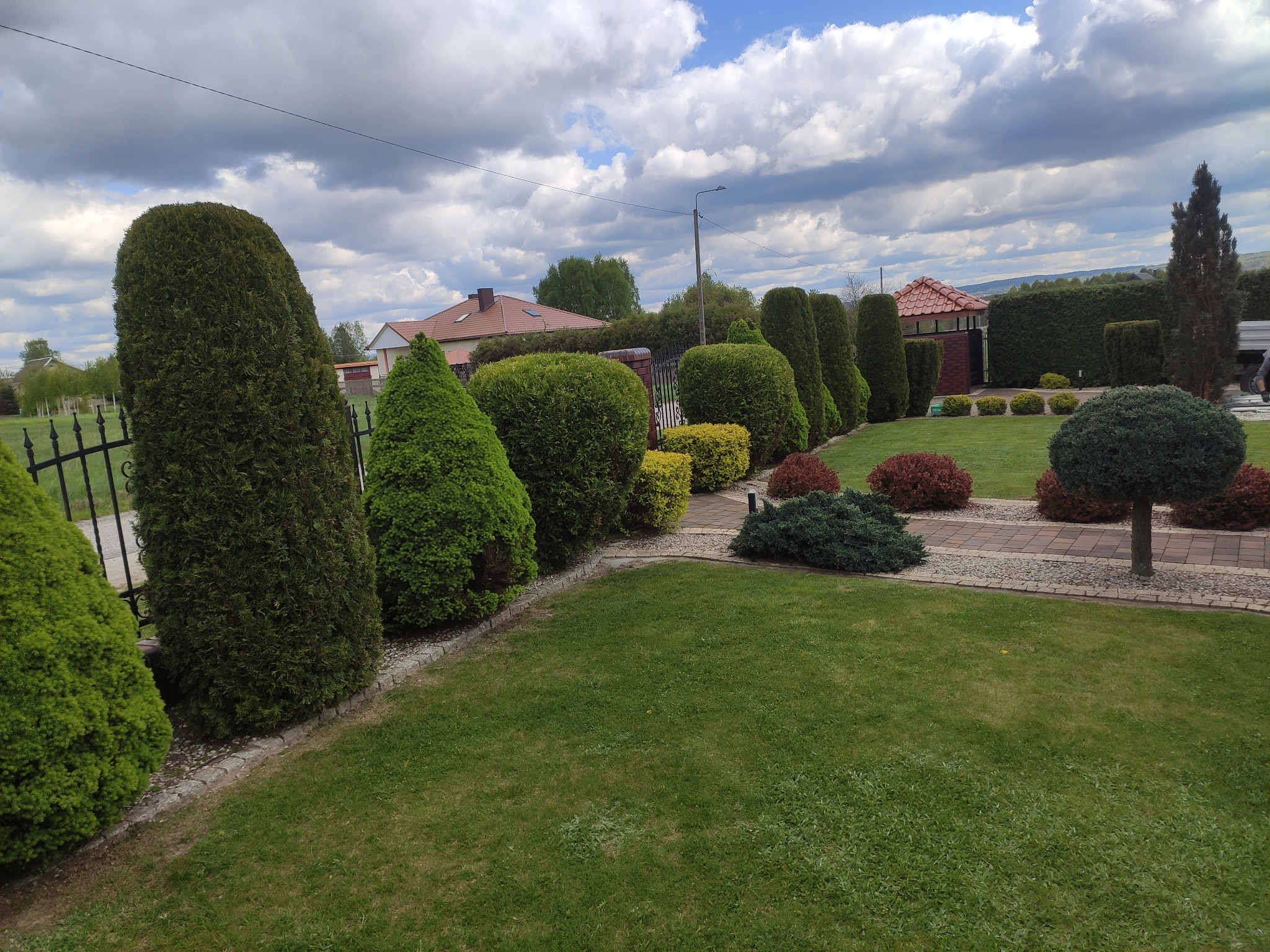 Uformowany żywopłot z tuj i krzewów w zadbanym ogrodzie, z widocznym trawnikiem i ścieżką z kostki brukowej, pod pochmurnym niebem.
