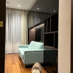 BARTOSZ MROCZEK BARTMEB - Nowoczesny pokój z jasną sofą na drewnianej podłodze, zabudowa meblowa z czarnymi półkami i podświetleniem LED, widok z perspektywy wejścia, kot na pierwszym planie.