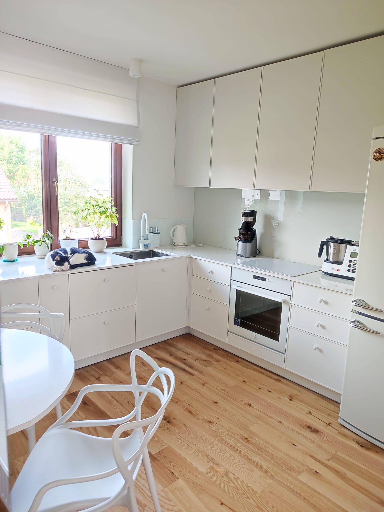 Jasna, minimalistyczna kuchnia z białymi, lakierowanymi frontami, drewnianą podłogą i śpiącym kotem na blacie przy oknie.