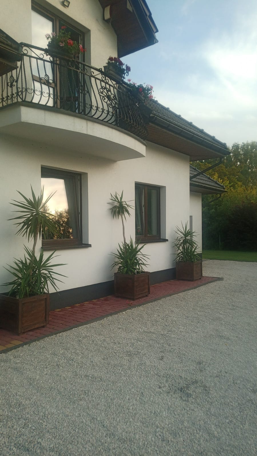 Biały dom jednorodzinny z balkonem ozdobionym kwiatami, z trzema palmami w drewnianych donicach wzdłuż elewacji, na tle żwirowego podjazdu i zieleni.