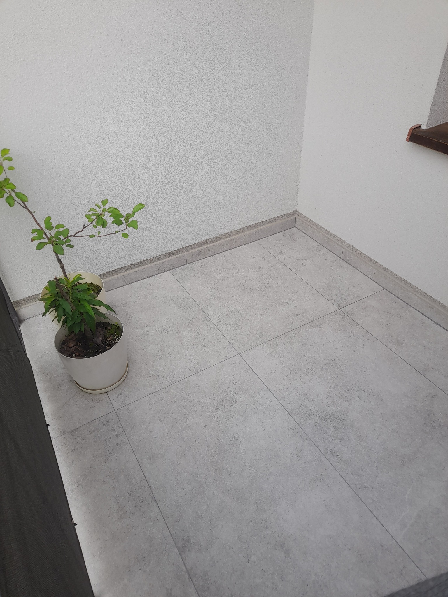 Jasnoszara podłoga wyłożona płytkami w rogu pomieszczenia, z małą rośliną doniczkową w białej doniczce po lewej stronie.