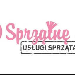 Sprzątanie mieszkań Nowogrodziec 1