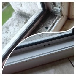 Sprzątanie mieszkań Nowogrodziec 3