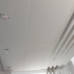 REMONTY DAMIAN DUSZCZAK - Montaż sufitu podwieszanego z płyt kartonowo-gipsowych, widoczne kable wystające z otworów na oświetlenie, oraz elementy konstrukcyjne z drewna.