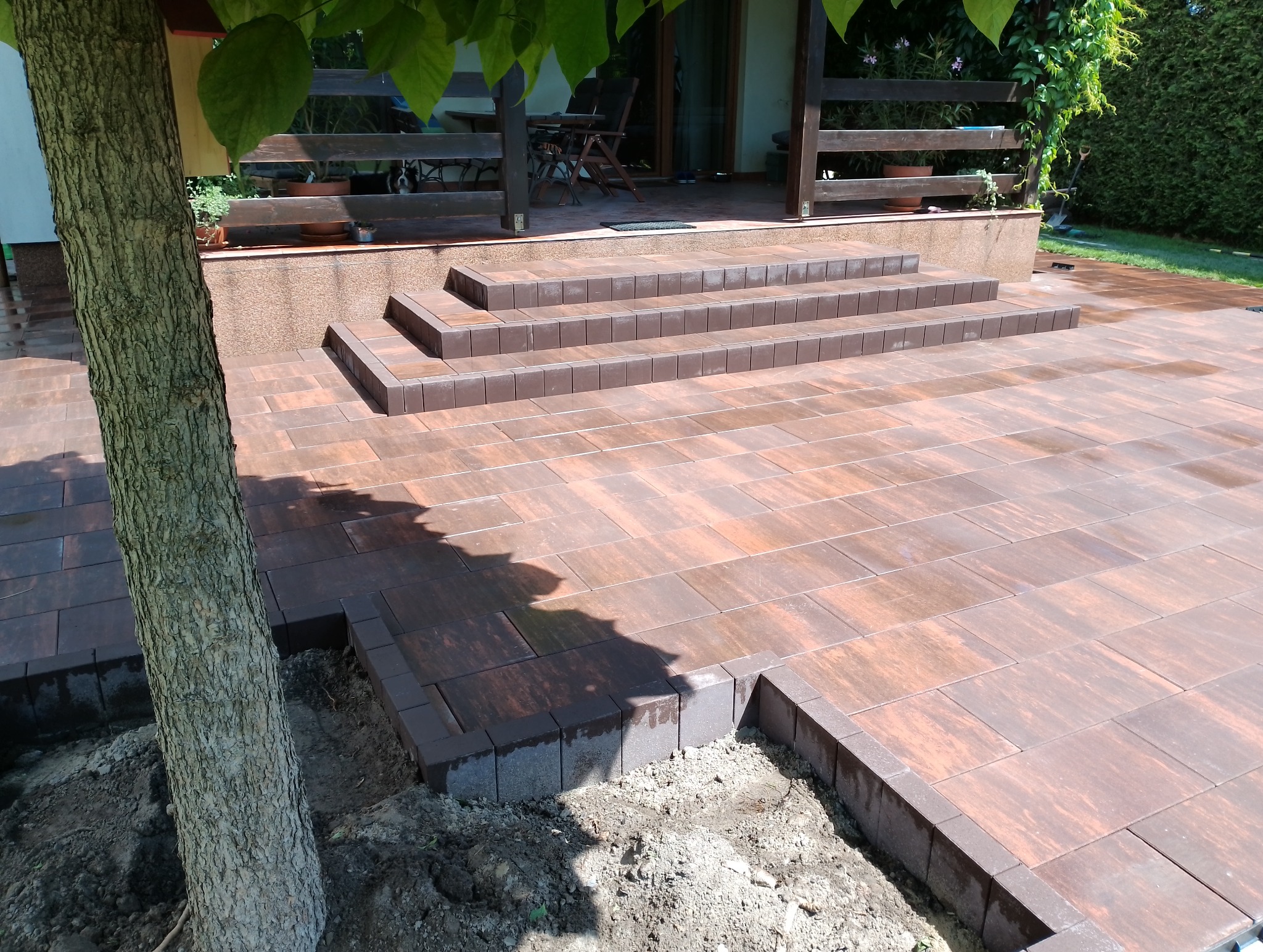 Ułożona kostka brukowa w odcieniach brązu prowadząca do schodów tarasu w Odrzywole, obok pnia drzewa z fragmentem niezakończonej obudowy.