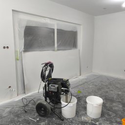 Wykonanie elewacji Jesionka 1