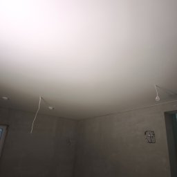 Wykonanie elewacji Jesionka 4