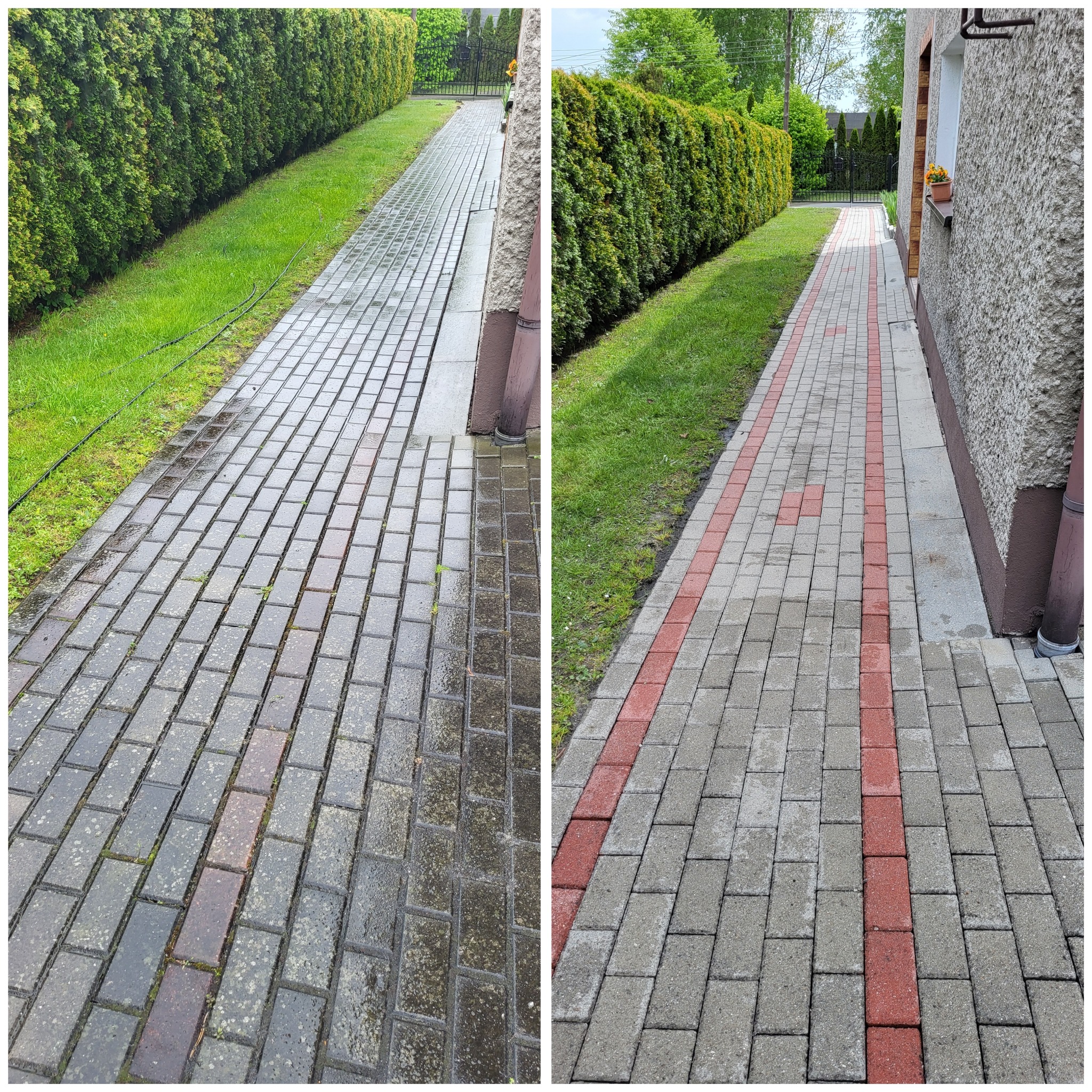 Porównanie kostki brukowej przed i po czyszczeniu, widoczna różnica w kolorze i usunięciu zabrudzeń, zarośnięty trawnik w tle.