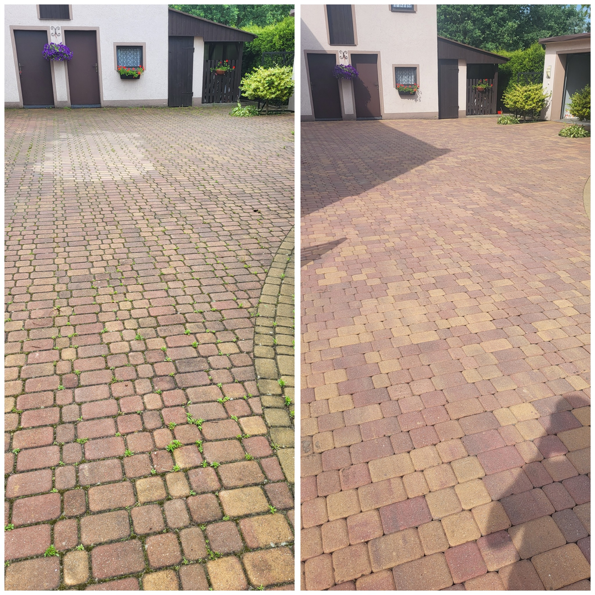 Porównanie kostki brukowej przed i po czyszczeniu: po lewej stronie widoczny mech i zabrudzenia, po prawej czysta powierzchnia z odzyskanym kolorem.