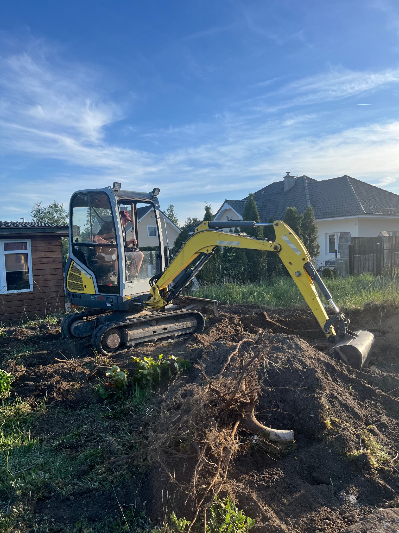 Żółto-szara mini koparka na gąsienicach, z operatorem w kabinie, pracuje na działce przy drewnianej szopie i domu jednorodzinnym, wykopana ziemia z korzeniami drzew.