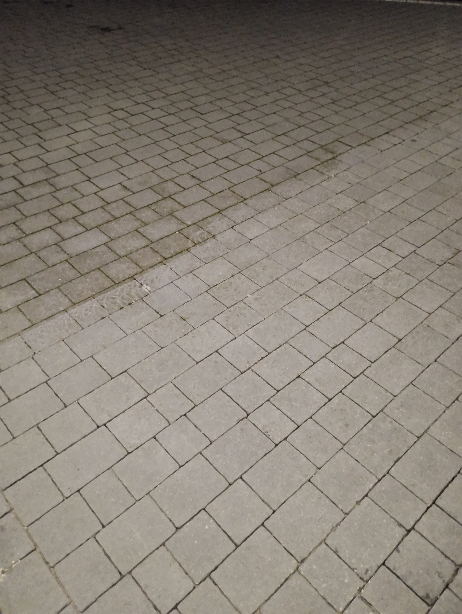 Szara kostka brukowa, częściowo umyta, z widocznym kontrastem między czystą a zabrudzoną powierzchnią, sfotografowana pod kątem w słabym oświetleniu.