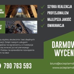 PLEPLO SPÓŁKA Z OGRANICZONĄ ODPOWIEDZIALNOŚCIĄ - Solidne Pianowanie Poddasza Gliwice
