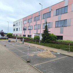 Oleksandra Hoiarchuk Złote Drzewo - Porządne Prace Ogrodnicze Grójec