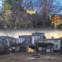 Oleksandra Hoiarchuk Złote Drzewo - Czyszczenie działkę