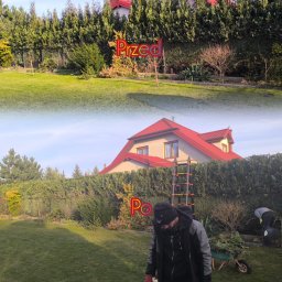 Oleksandra Hoiarchuk Złote Drzewo - Zdjęcie 'przed i po' formowania żywopłotu z tui, z widoczną drabiną, pracownikami i taczką z gałęziami. Dom z czerwoną dachówką w tle.