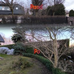 Oleksandra Hoiarchuk Złote Drzewo - Pielęgnacja ogrodu, formowania tuje/drzew