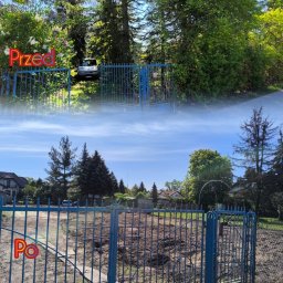 Oleksandra Hoiarchuk Złote Drzewo - Solidne Prace Ogrodowe Grójec