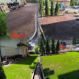 Oleksandra Hoiarchuk Złote Drzewo - Zdjęcie 'przed i po' ukazuje transformację terenu: od ziemi i gruzu do zadbanego trawnika z obrzeżami i tujami. Widoczne domy w tle. Kontrast zmian, estetyka ogrodu.