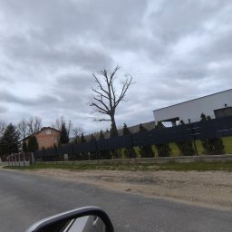 Oleksandra Hoiarchuk Złote Drzewo - Zakładanie trawnik&oacute;w Gr&oacute;jec